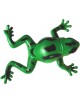 1 Grenouille à eau